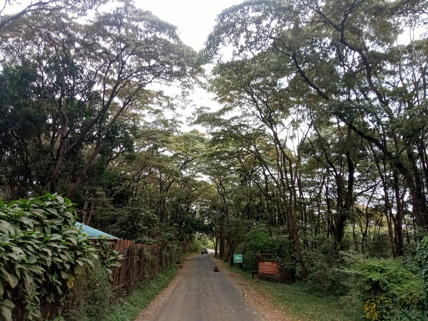 Nairobi landscape and green open space