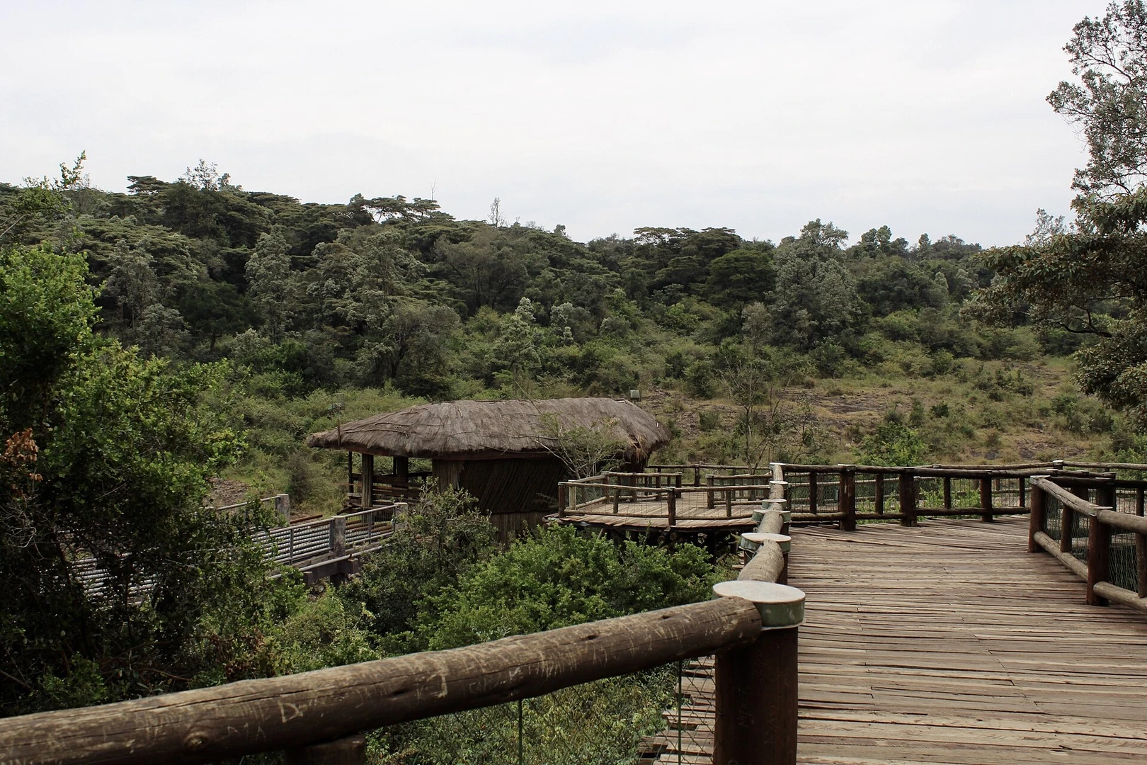 Morning walking route in Nairobi
